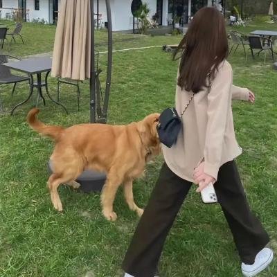 吸血鬼生活第二季